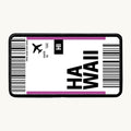 Hawaii Flight Ticket Patch